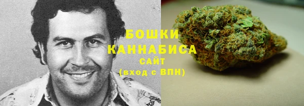 PSILOCYBIN Лиски