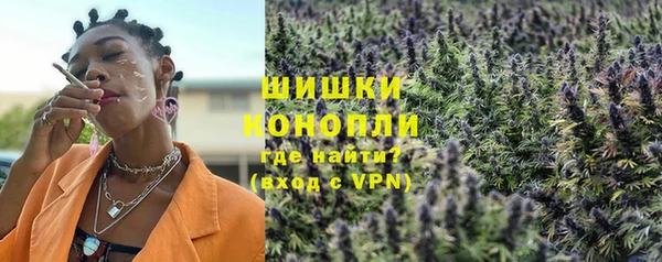 PSILOCYBIN Лиски