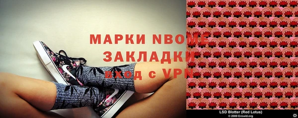 PSILOCYBIN Лиски