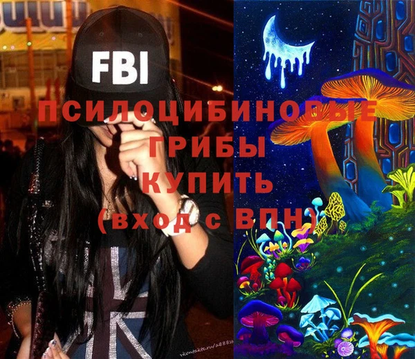 PSILOCYBIN Лиски