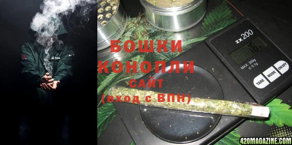 PSILOCYBIN Лиски