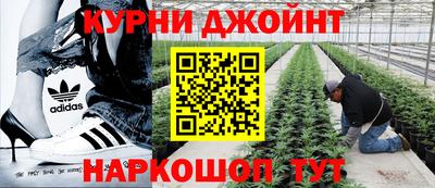 ALPHA PVP Заводоуковск