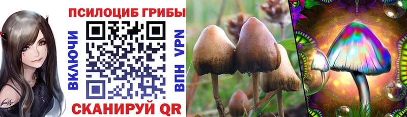 цена наркотик даркнет официальный сайт MEGA зеркало Псилоцибиновые грибы Psilocybe Нижний Тагил