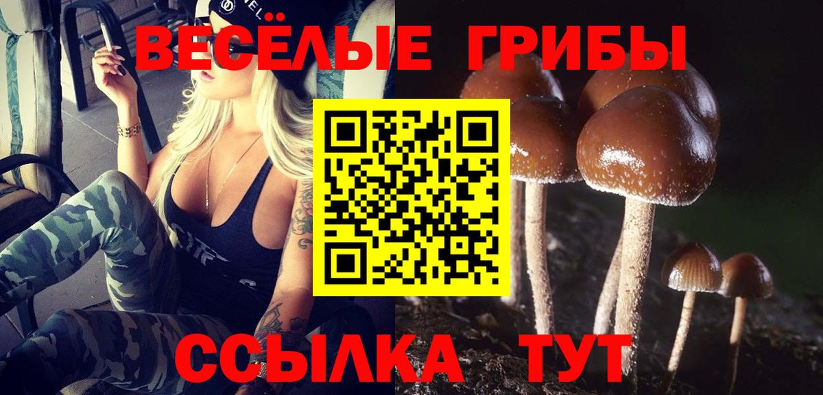 Псилоцибиновые грибы MAGIC MUSHROOMS  Вход с VPN  Нижний Тагил 